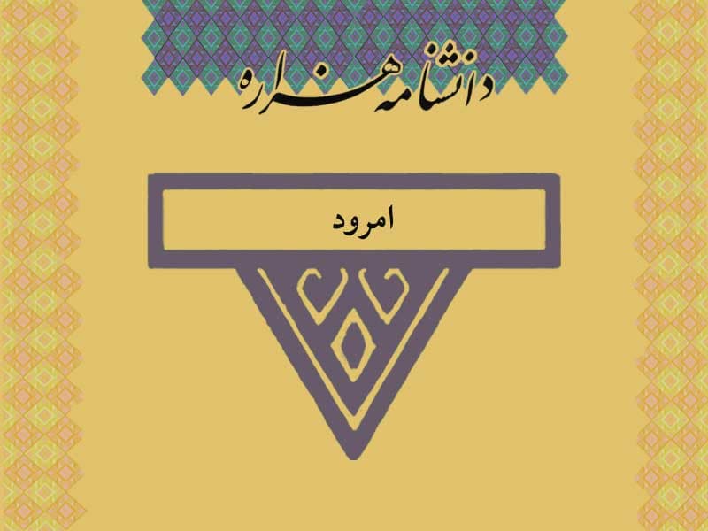امرود /Amrud/